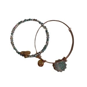 Alex and Ani | NWOT Chakra Charm Bracelet Set
